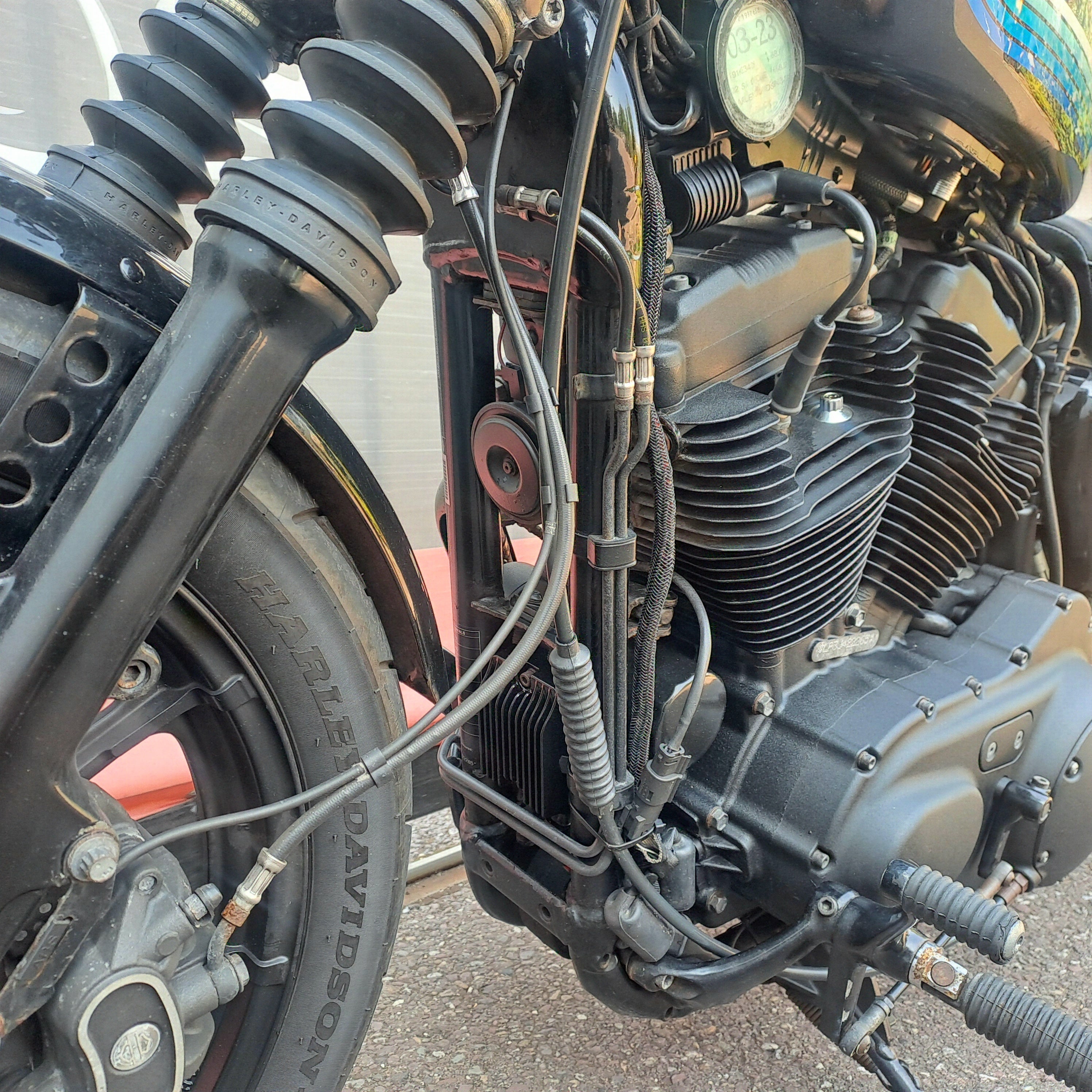 2019 HARLEY DAVIDSON XL1200 SPORTSTER IRON