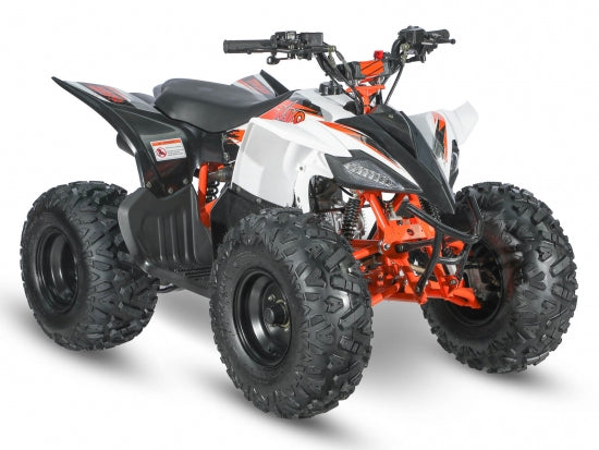 Kayo raging bull 110