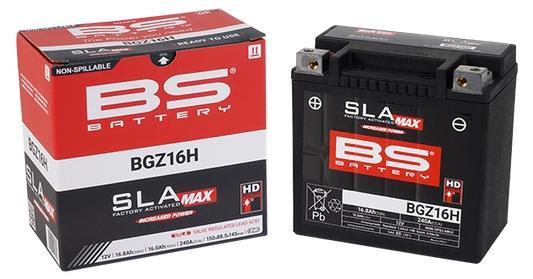 BS Battery BGZ16H