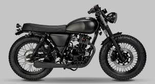 Mutt Akita 125