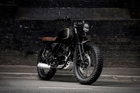 Mutt Akita 125
