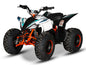 E-BULL Electric ATV