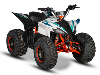E-BULL Electric ATV